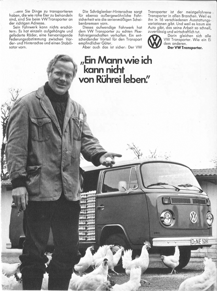 VW Bulli Portrait 11