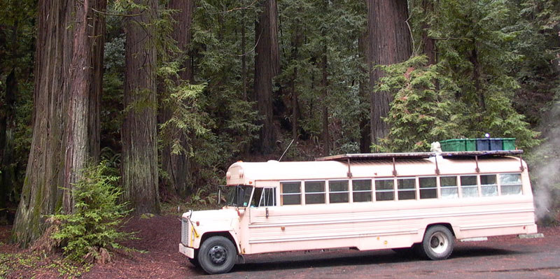 1978 International 2