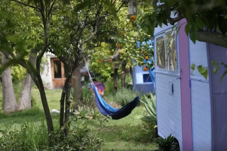 Caribbean caravan 16