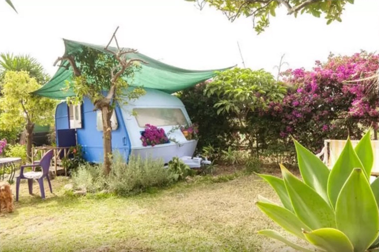 Caribbean caravan 6