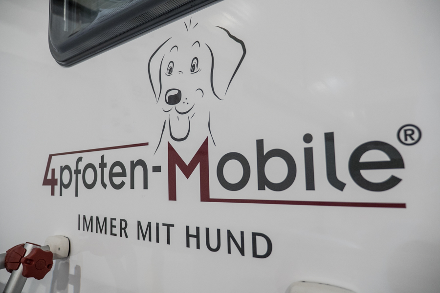 DogLiner 01