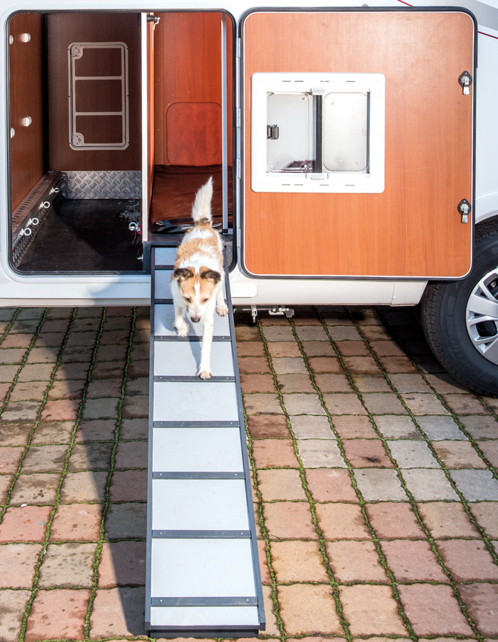 DogLiner 38