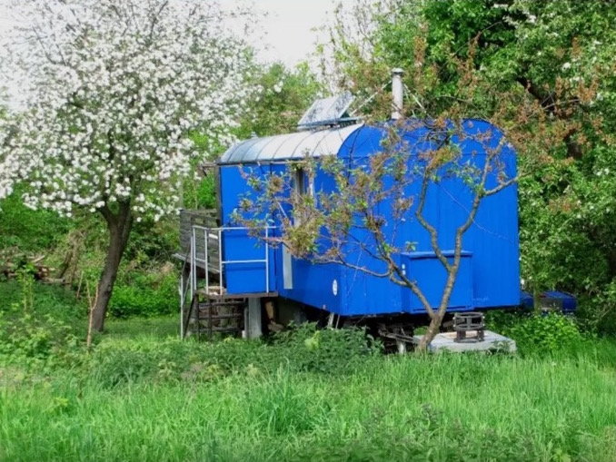 Peaceful blue under apple boughs 10