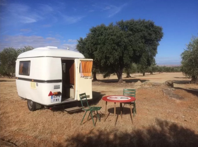 Vintage petit caravan in olive yard 6