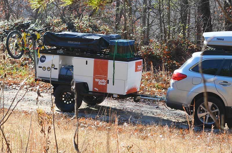Oso lanudo en el Subaru
