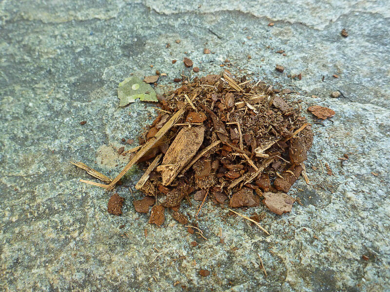 Mantillo para un retrete seco