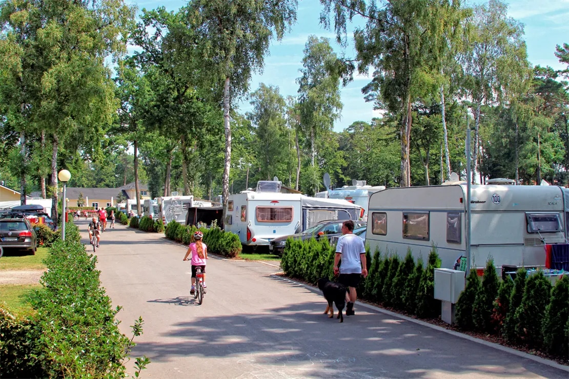 camping.info nr.1 campingpark kuehlungsborn
