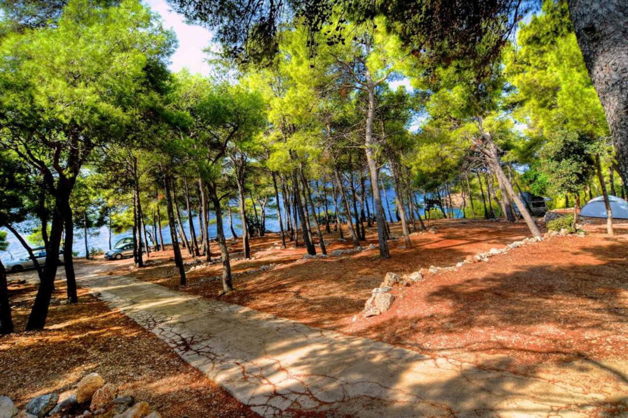 Campings Dalmacia - Un hermoso camping en medio de los pinares y junto al mar. © camping.info