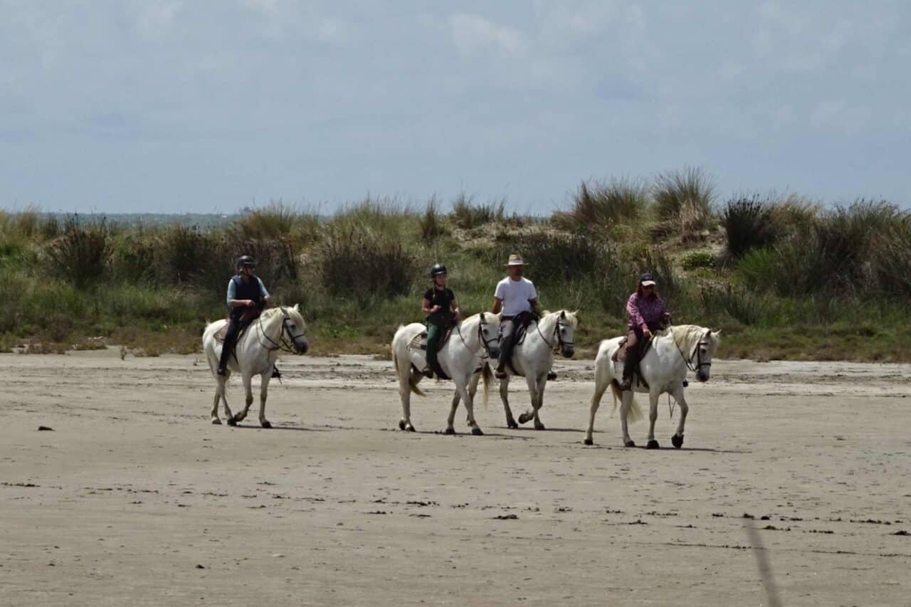 Camping Camargue - Caballos