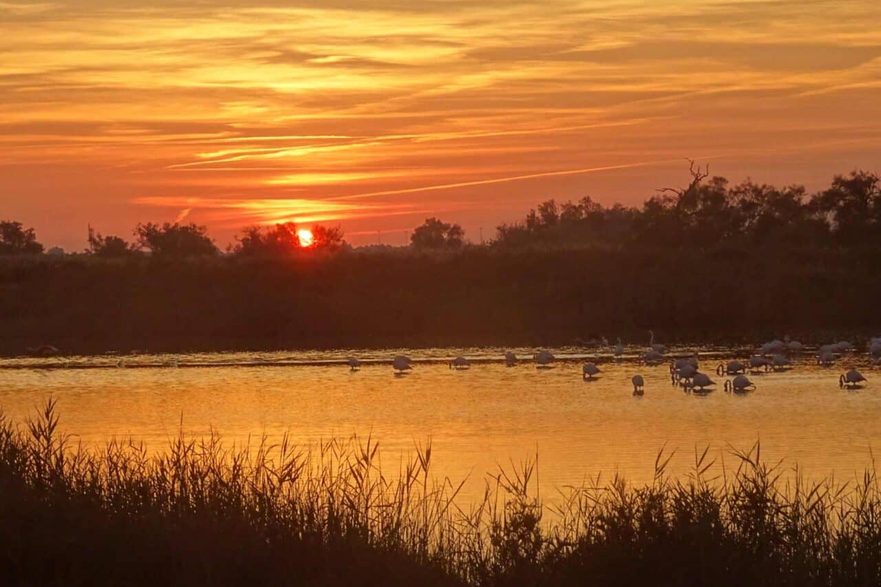Camping Camarga - Puesta de sol