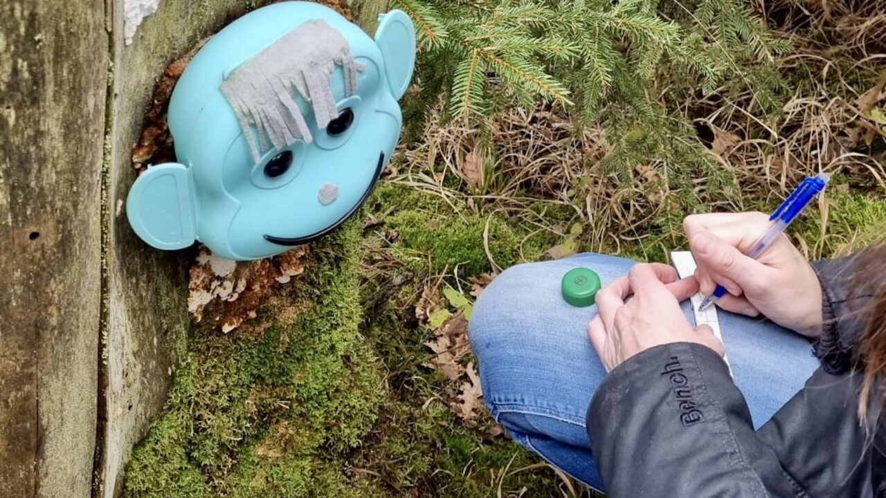 El geocaching como juego al aire libre con los niños cuando van de acampada