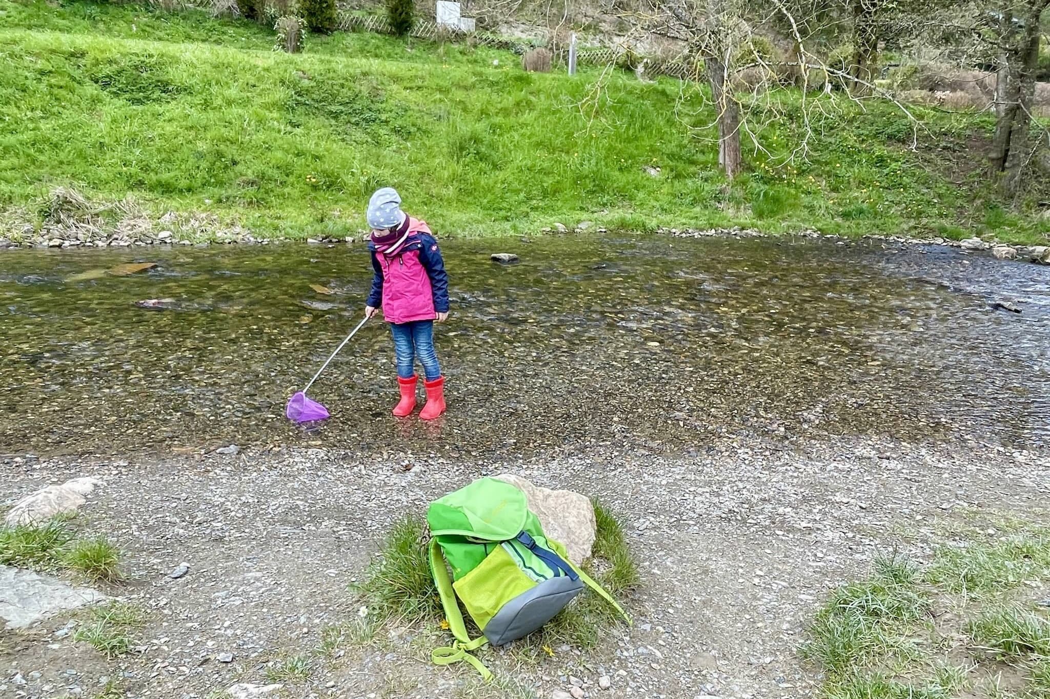 Consejos para el entretenimiento y las actividades en camping con niños