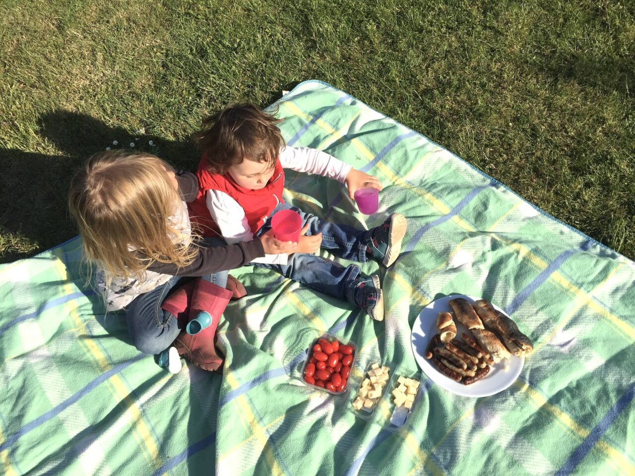 El picnic como actividad al aire libre cuando se acampa con niños