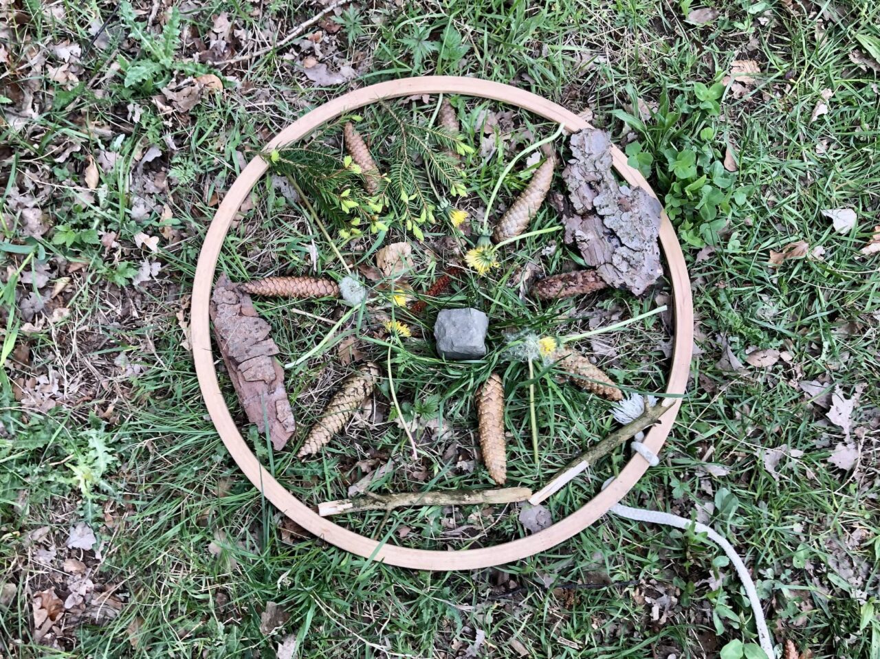 Mandala del bosque en unas olimpiadas forestales como juego infantil