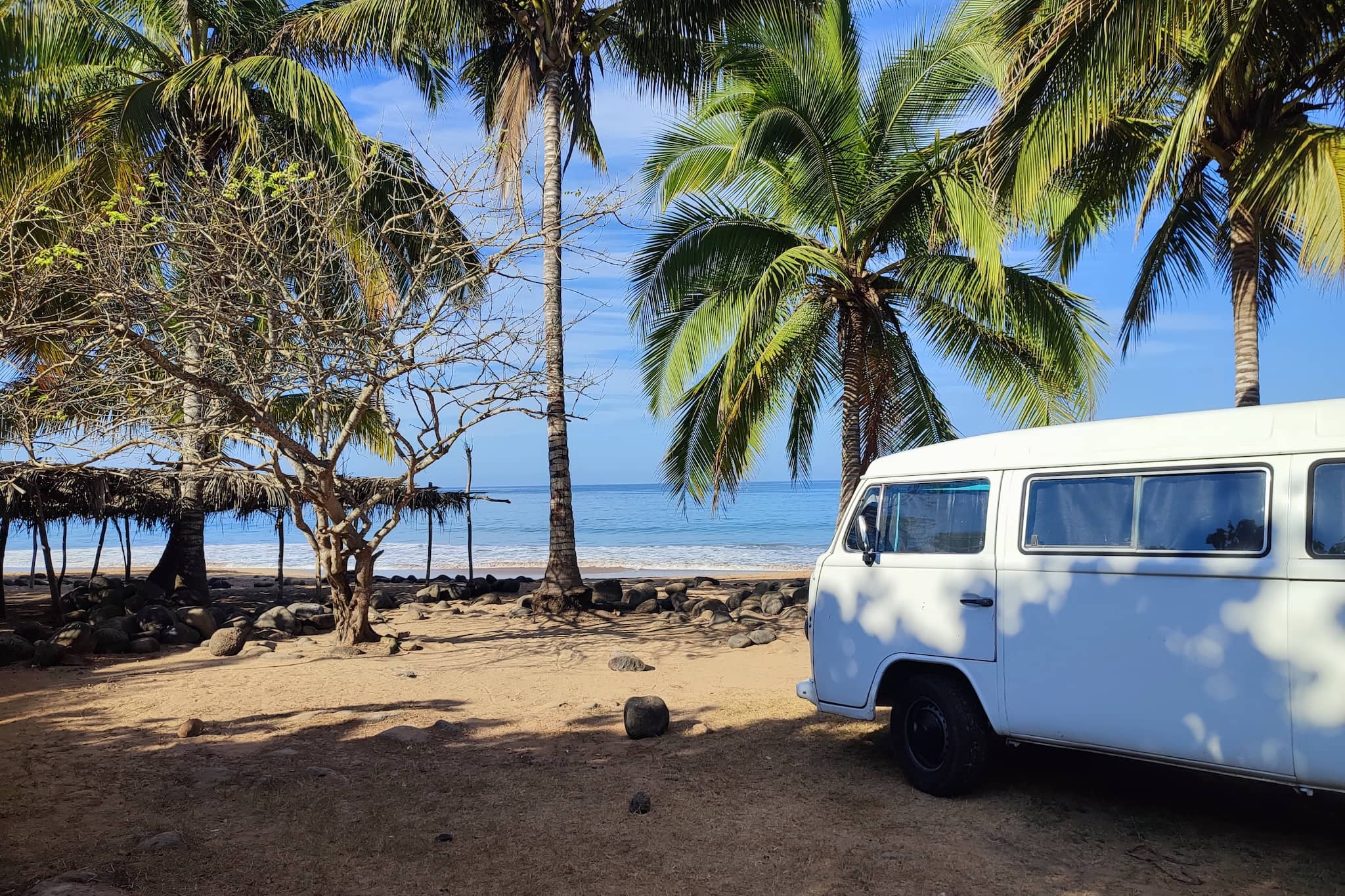 75 años del VW Bulli: una leyenda celebra su cumpleaños